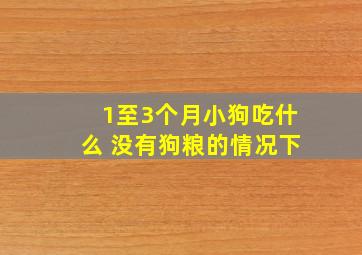 1至3个月小狗吃什么 没有狗粮的情况下